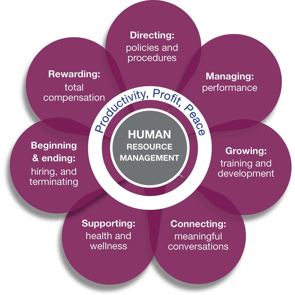 Aptitude Test Definition In Human Resource Management