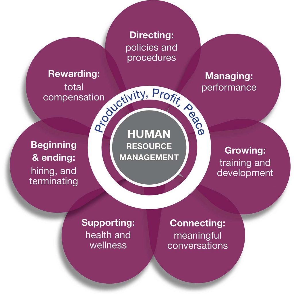 Human Resources Hr Management And Leadership